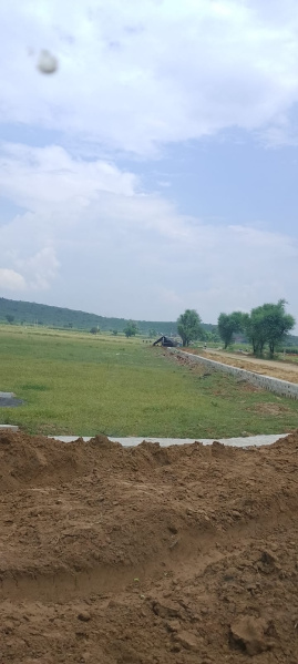  Agricultural Land 10 Bigha for Sale in Naugaon, Alwar