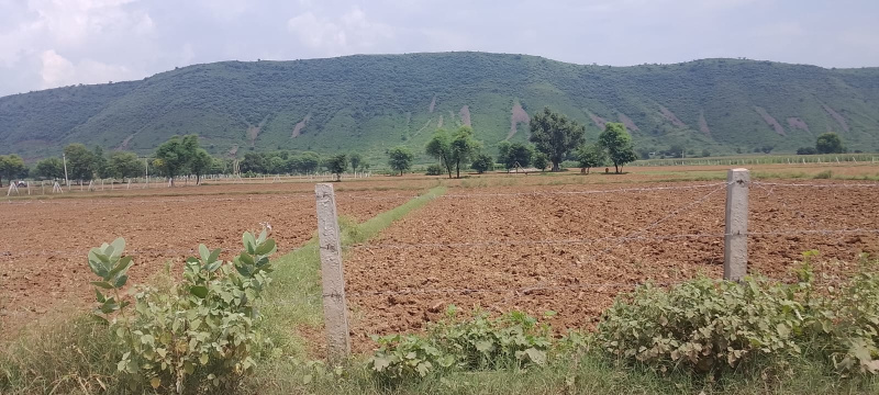  Agricultural Land 10 Bigha for Sale in Naugaon, Alwar