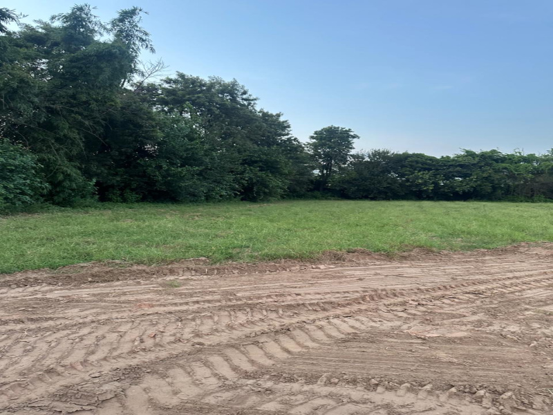  Agricultural Land 1 Acre for Sale in Sohna Palwal Road, Gurgaon