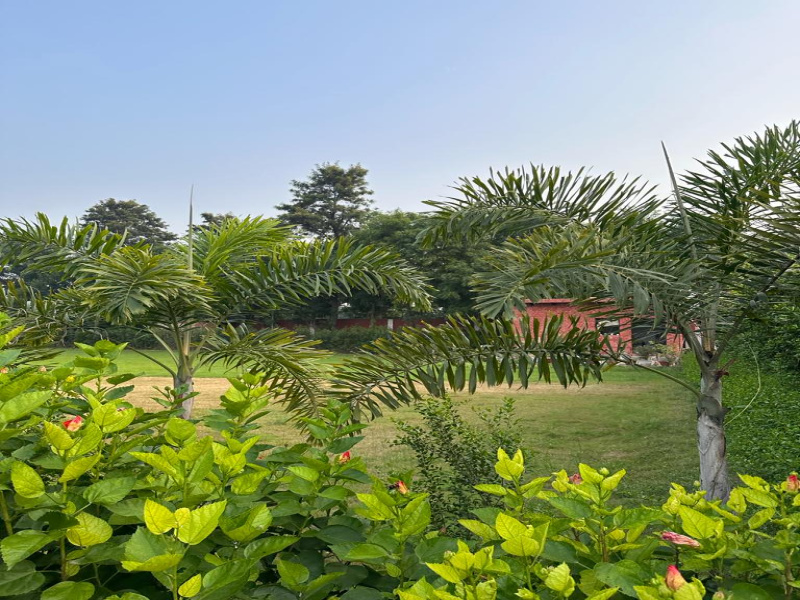  Agricultural Land 1 Acre for Sale in Sohna, Gurgaon