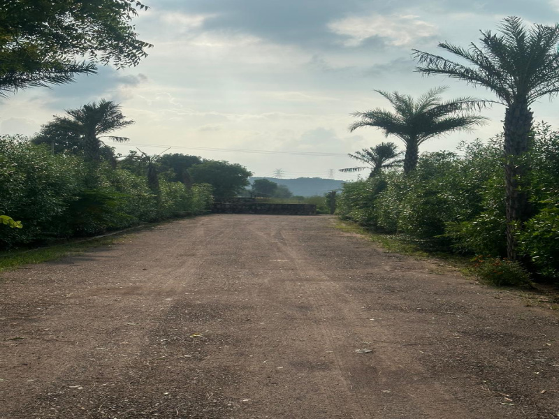  Agricultural Land 1 Acre for Sale in Sohna, Gurgaon
