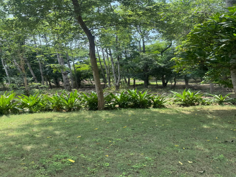  2420 Sq. Yards Agricultural/Farm Land for Sale in Sohna, Gurgaon