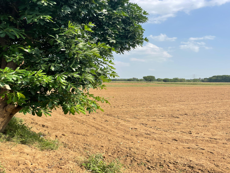  Agricultural Land 1 Acre for Sale in Faridabad Road, Gurgaon