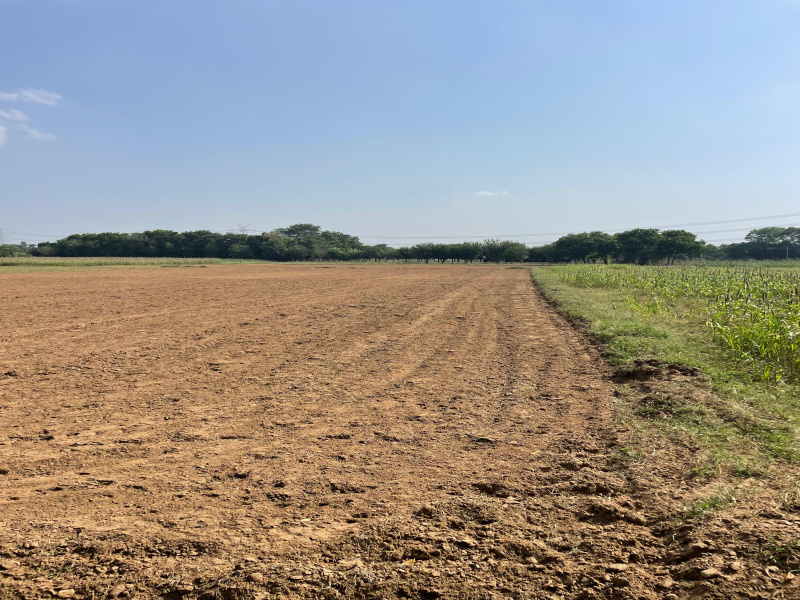  Agricultural Land 1 Acre for Sale in Faridabad Road, Gurgaon