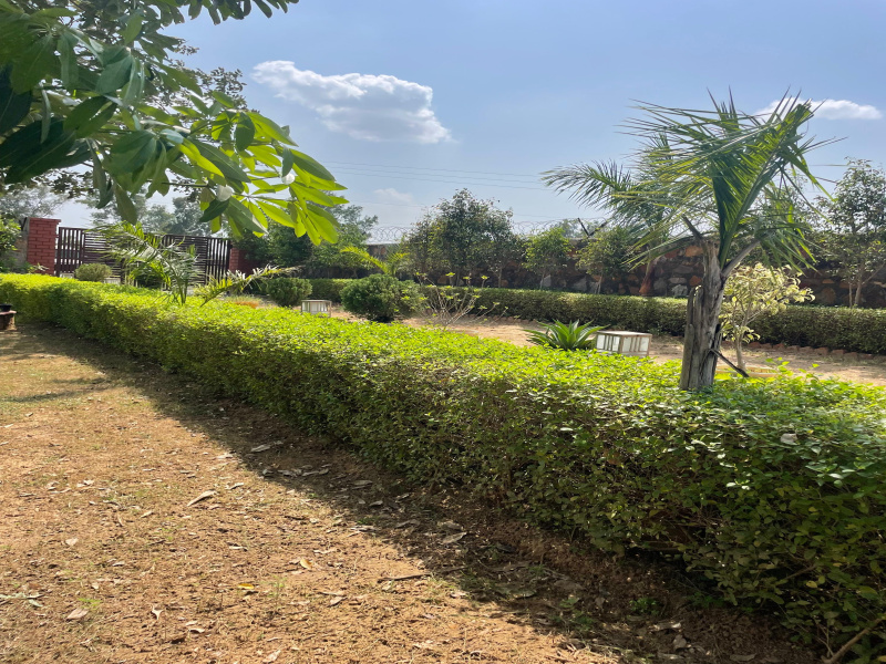  Agricultural Land 2420 Sq. Yards for Sale in Faridabad Road, Gurgaon