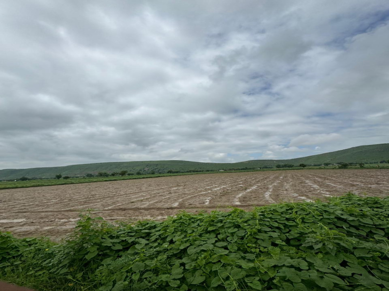  Agricultural Land 7 Bigha for Sale in Naugaon, Alwar