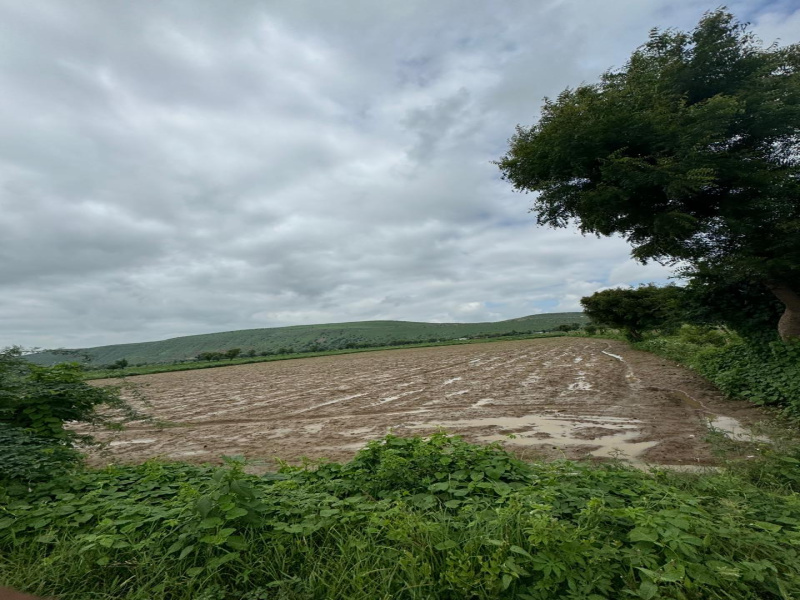  Agricultural Land 7 Bigha for Sale in Naugaon, Alwar