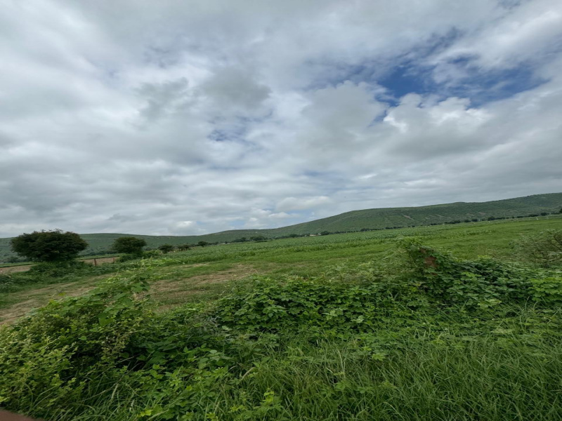 Agricultural Land 7 Bigha for Sale in Naugaon, Alwar