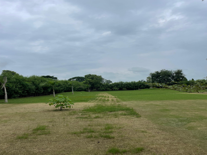  Agricultural Land 3000 Sq. Yards for Sale in Sohna, Gurgaon