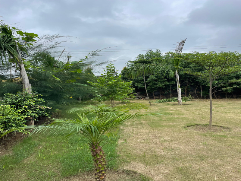  Agricultural Land 3000 Sq. Yards for Sale in Sohna, Gurgaon