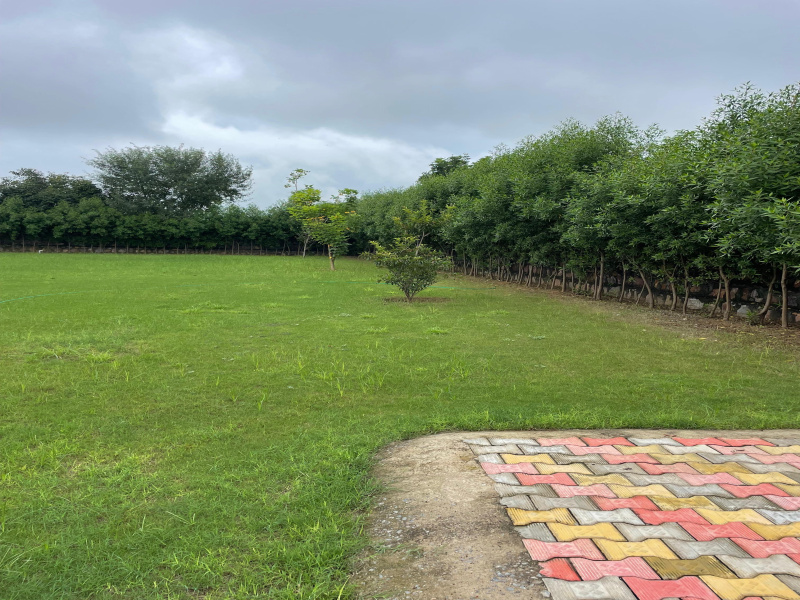  Agricultural Land 3000 Sq. Yards for Sale in Sohna, Gurgaon
