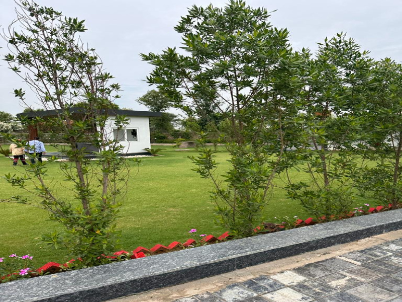  Agricultural Land 1 Acre for Sale in Sohna, Gurgaon