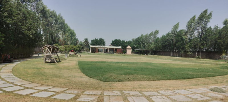  Agricultural Land 3600 Sq. Yards for Sale in Sohna, Gurgaon