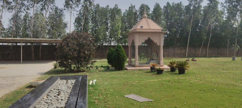  Agricultural Land 3600 Sq. Yards for Sale in Sohna, Gurgaon