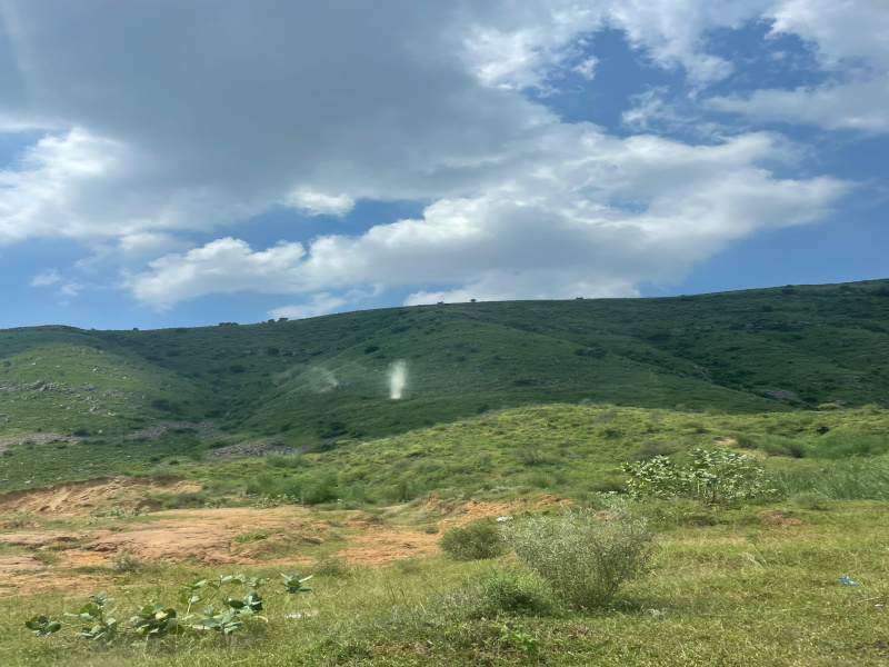  15 Bigha Agricultural/Farm Land for Sale in Naugaon, Alwar