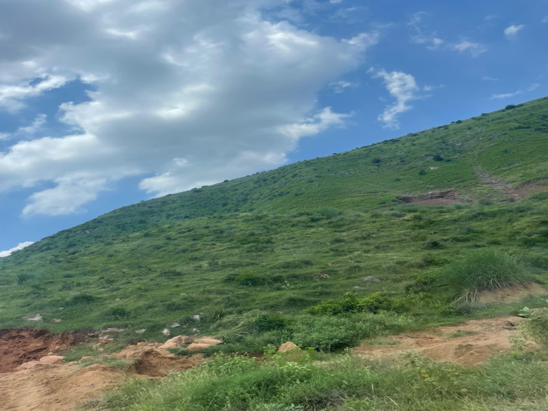  15 Bigha Agricultural/Farm Land for Sale in Naugaon, Alwar