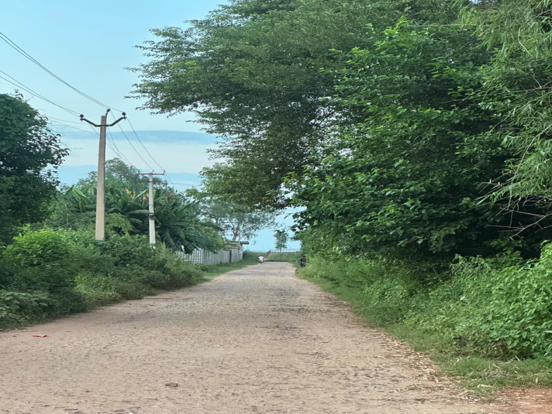  8 Bigha Agricultural/Farm Land for Sale in Naugaon, Alwar