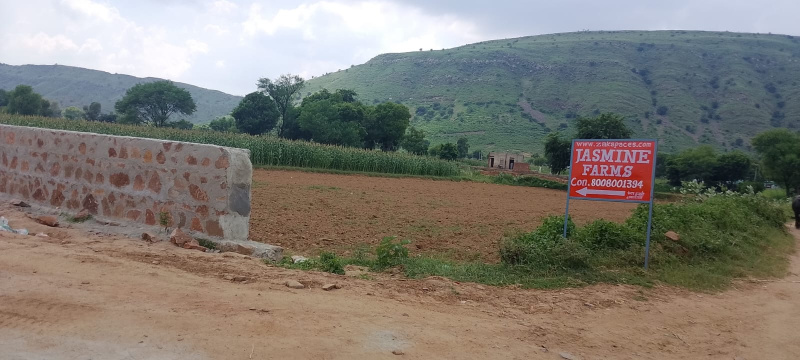  9 Bigha Agricultural/Farm Land for Sale in Naugaon, Alwar