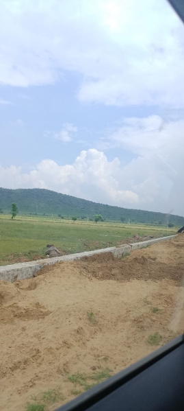  9 Bigha Agricultural/Farm Land for Sale in Naugaon, Alwar