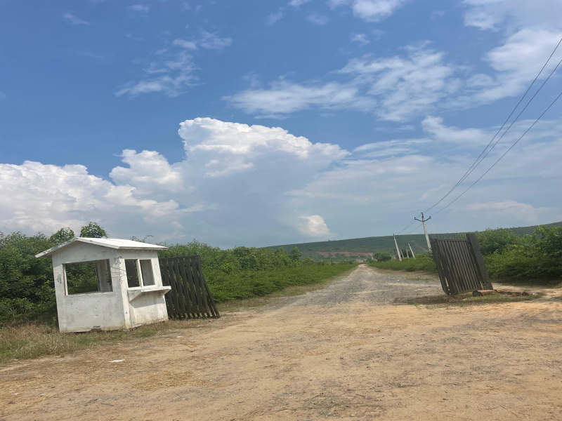  60 Bigha Agricultural/Farm Land for Sale in Naugaon, Alwar