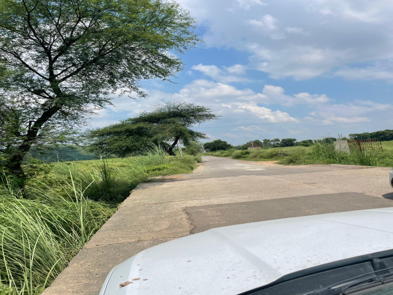  Agricultural Land 28 Bigha for Sale in Naugaon, Alwar