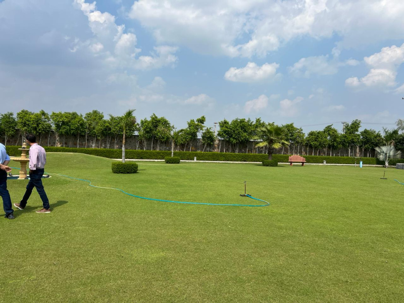  Agricultural Land 1 Acre for Sale in Sohna, Gurgaon