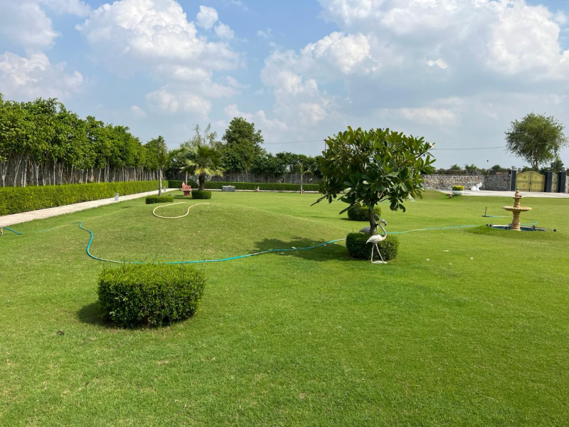  Agricultural Land 1 Acre for Sale in Sohna, Gurgaon