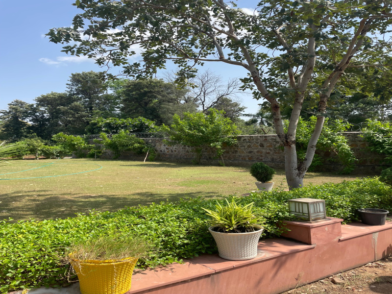  Agricultural Land 1 Acre for Sale in Sohna, Gurgaon