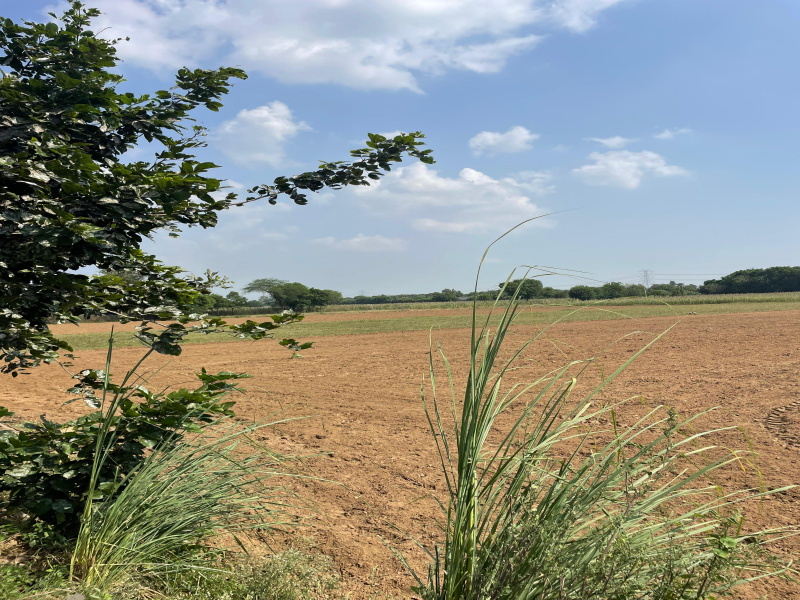  Agricultural Land 1 Acre for Sale in Sohna Palwal Road, Gurgaon