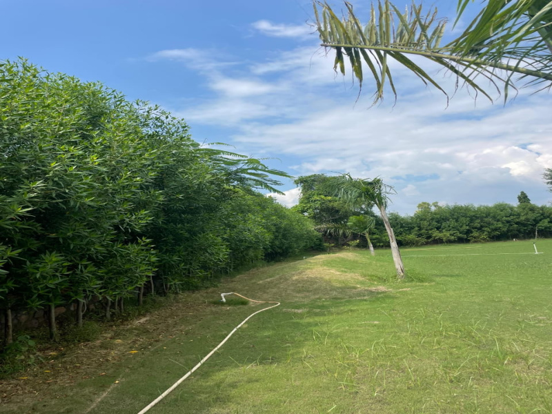  Agricultural Land 2 Acre for Sale in Sohna Road, Faridabad