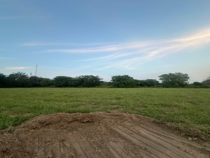  Agricultural Land 2 Acre for Sale in Sohna Road, Faridabad