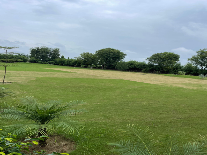  Agricultural Land 2 Acre for Sale in Sohna Road, Faridabad
