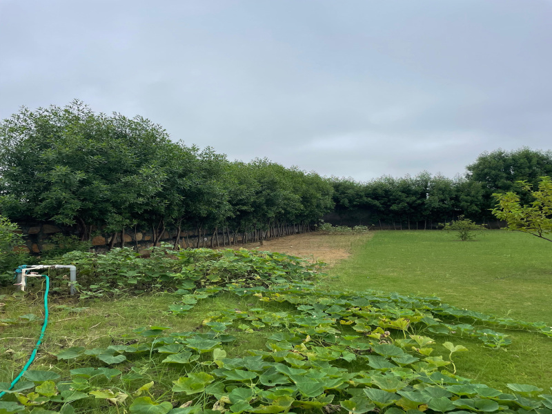  Agricultural Land 2 Acre for Sale in Sohna Road, Faridabad