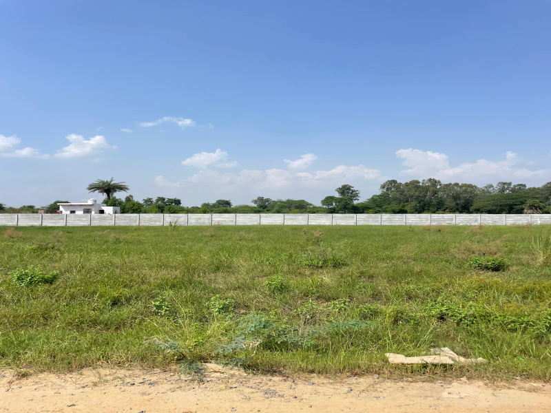  Agricultural Land 1 Acre for Sale in Tauru, Nuh