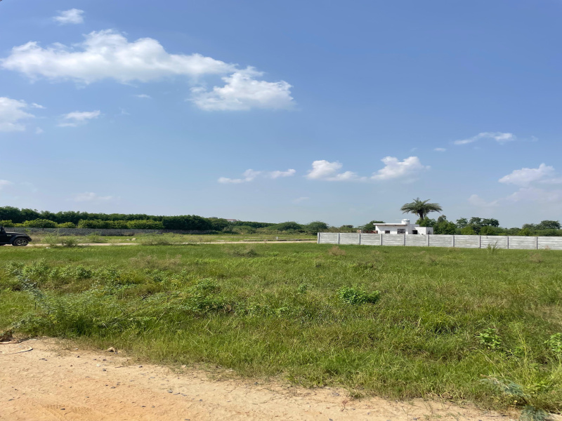  Agricultural Land 1 Acre for Sale in Tauru, Nuh