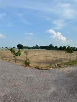  Agricultural Land for Sale in Ghasera, Nuh