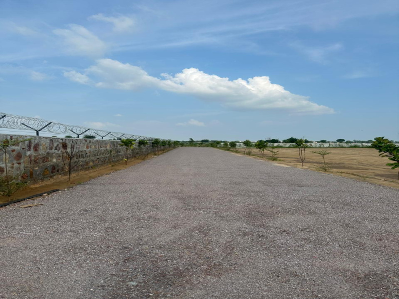  2 Acre Agricultural/Farm Land for Sale in Ghasera, Nuh