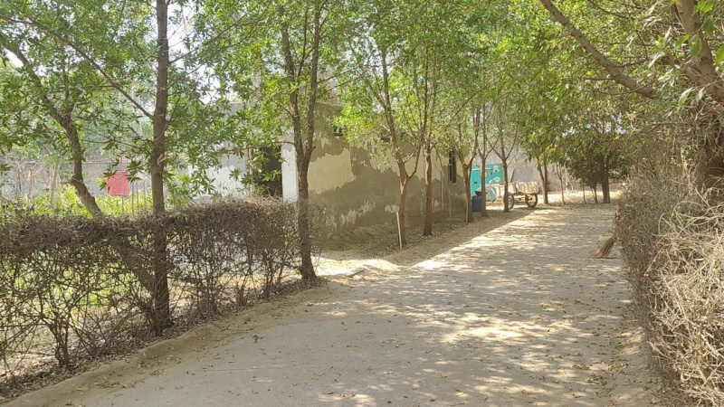  Agricultural Land 1 Acre for Sale in Sohna, Gurgaon