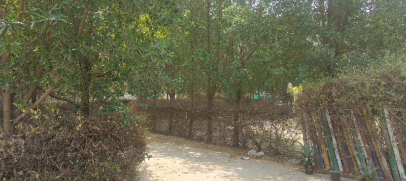  Agricultural Land 1 Acre for Sale in Sohna, Gurgaon