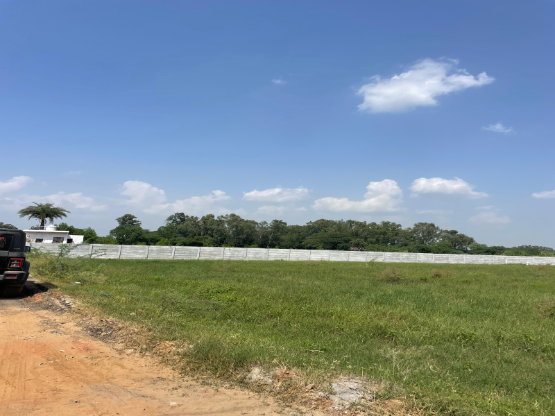  Agricultural Land 2420 Sq. Yards for Sale in Sohna, Gurgaon