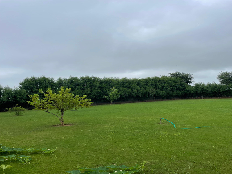  1 Acre Agricultural/Farm Land for Sale in Sohna Palwal Road, Gurgaon