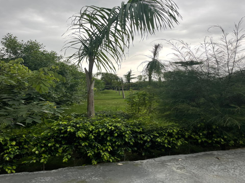  2 Acre Agricultural/Farm Land for Sale in Sohna Palwal Road, Gurgaon