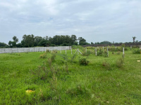  Agricultural Land for Sale in Sohna Road, Faridabad