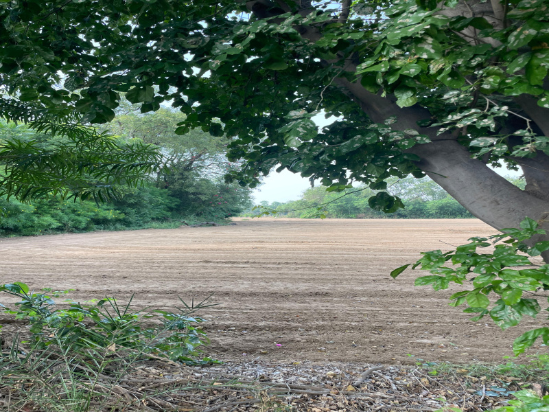  Agricultural Land 1 Acre for Sale in Faridabad Road, Gurgaon