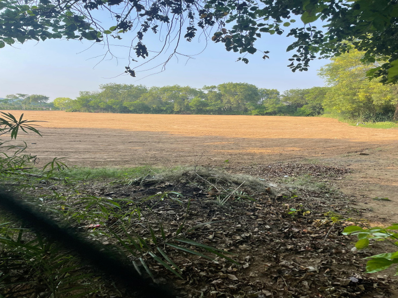  Agricultural Land 1 Acre for Sale in Faridabad Road, Gurgaon