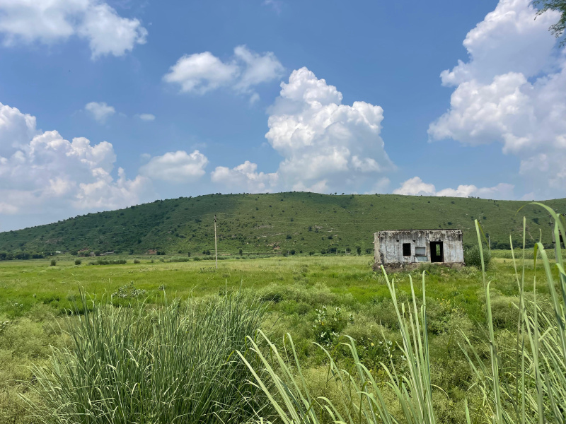  Agricultural Land 70 Bigha for Sale in Naugaon, Alwar