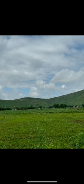  Agricultural Land 15 Bigha for Sale in Naugaon, Alwar