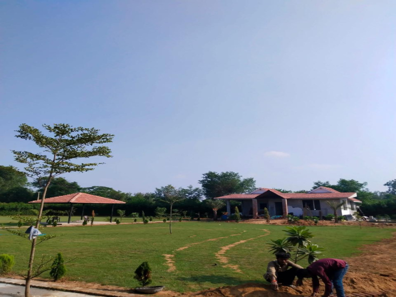  1 Acre Agricultural/Farm Land for Sale in Sohna Palwal Road, Gurgaon