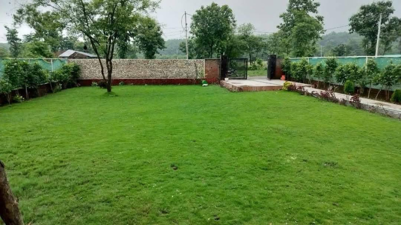  1 Acre Agricultural/Farm Land for Sale in Faridabad Road, Gurgaon