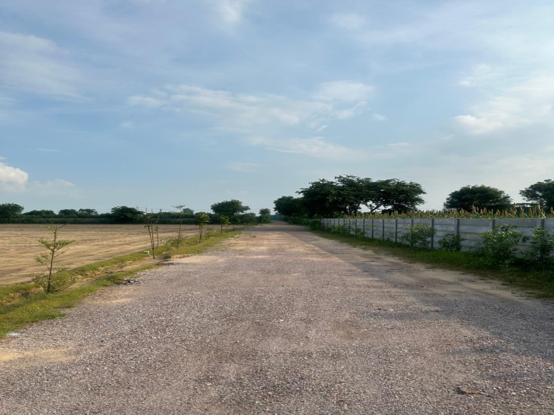  3 Acre Agricultural/Farm Land for Sale in Sohna, Gurgaon